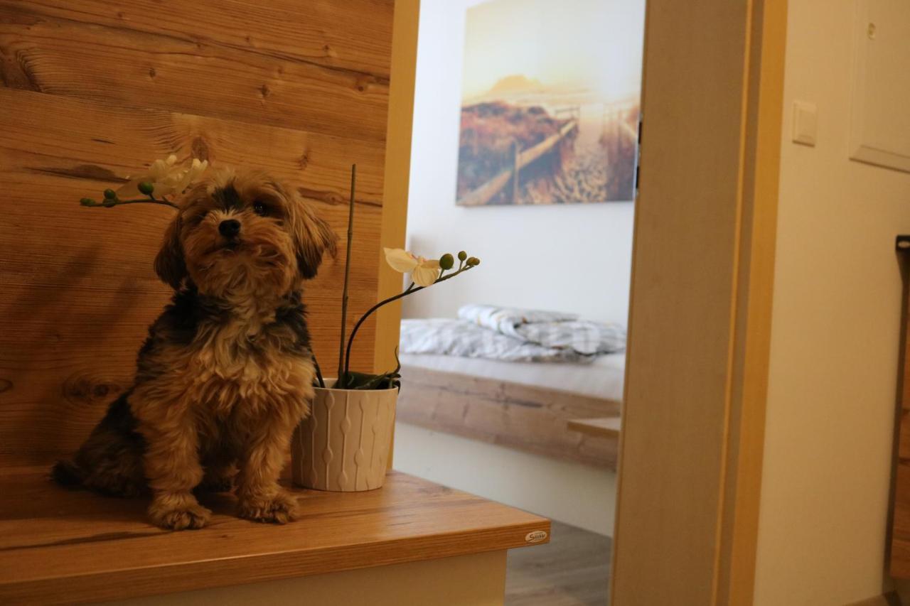 Zirben Diamant Rooms & Dogs Obdach Экстерьер фото